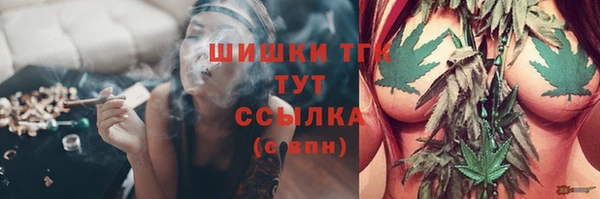 дживик Баксан