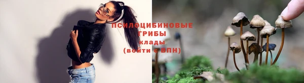 mdpv Арсеньев
