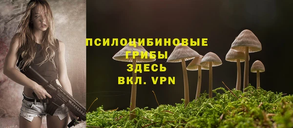 mdpv Арсеньев